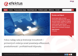 www.efektus.com